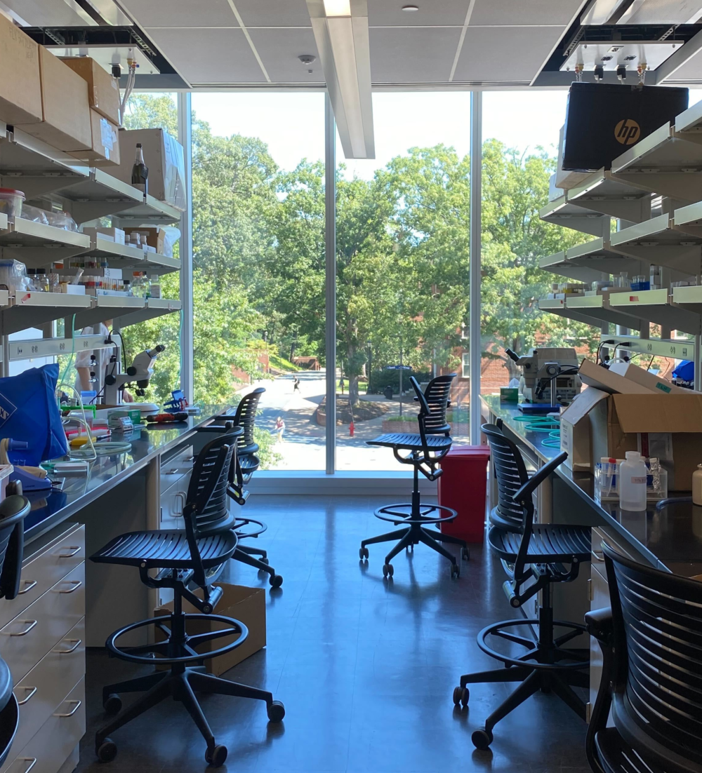 Siegrist lab moves to new lab space in Gilmer!